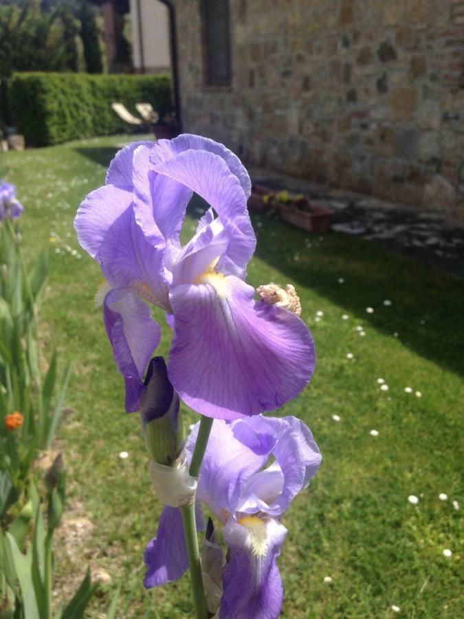 Borgo Del Molinello Villa Sant'Albino Kültér fotó